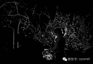 河北摄影十杰：刘晓冬——都市夜曲