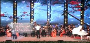 百花民乐团演出​